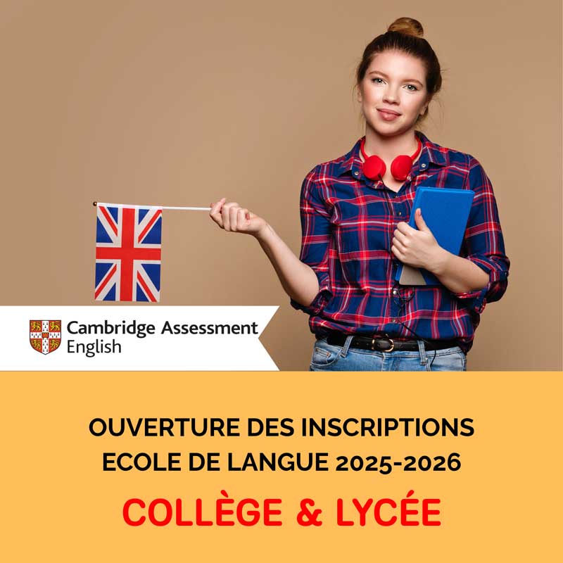 College-Lycee-ecole-english-tree