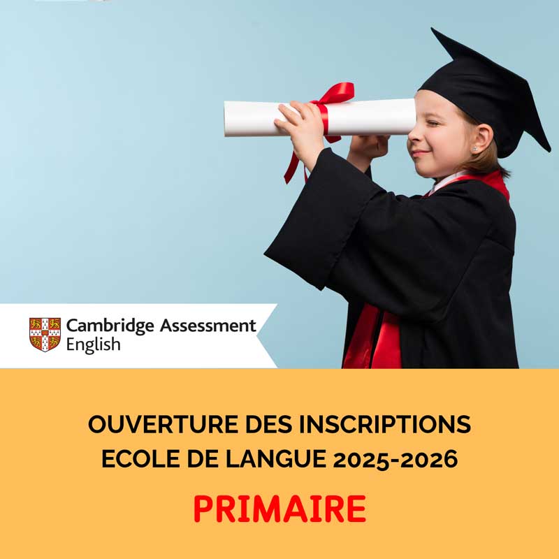 Primaire-ecole-english-tree