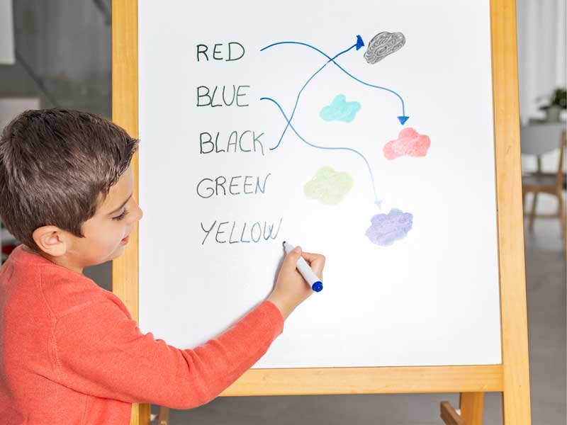 ecole-english-tree_Etudiant-Adulte-8